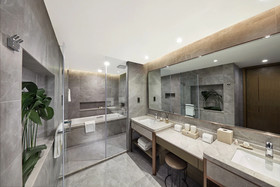 oasis aurum 181