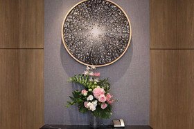oasis aurum 181