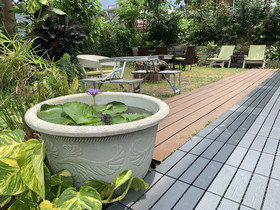City Oasis Guesthouse