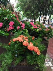 Leisurely Hotel Shenzhen