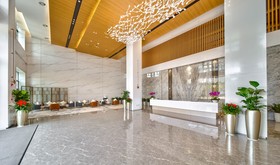 Grand Skylight X-INN Inn Pingshan