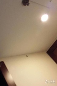 Shangdong Hotel Shenzhen