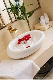 Shenzhen Art Hotel