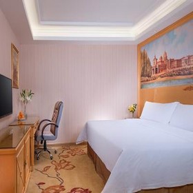 Vienna Hotel Shawan