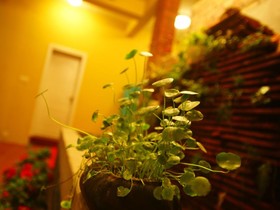 Gulangyu Weire Inn
