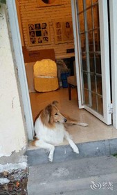 Small White Whale Inn