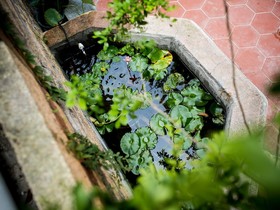 Xiamen Gulangyu Yangshan Hotel