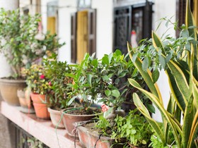 Xiamen Gulangyu Yangshan Hotel