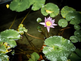 Xiamen Gulangyu Yangshan Hotel