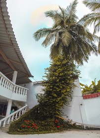 Hotel Boquilla Camping