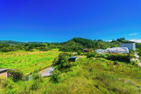 Ayenda Hotel Bambu Guatape