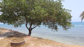 Hotel Rosario de Mar by Tequendama