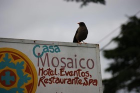 Casa Mosaico Hotel Boutique