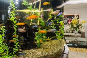 Hotel Egina Medellín