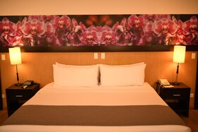 Mi Hotel San Diego