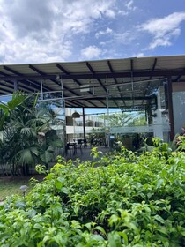 Hotel Palo Grande CF Pereira