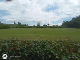 Hotel Palo Grande CF Pereira