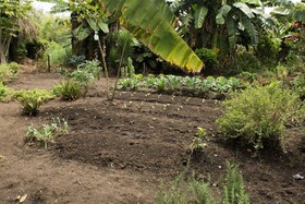 Finca Llanogrande By Nomad Guru