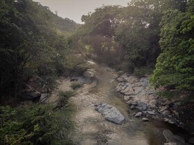 Eco Hostal Manakin Tayrona