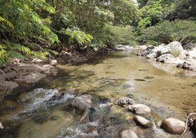 Eco Hostal Manakin Tayrona