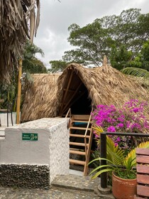 Eco Hostal Manakin Tayrona