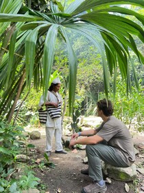 Eco Hostal Manakin Tayrona