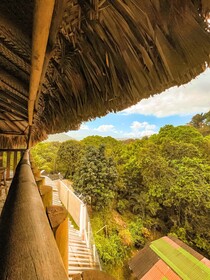 Cabaña Mirador del Bosque Tayrona