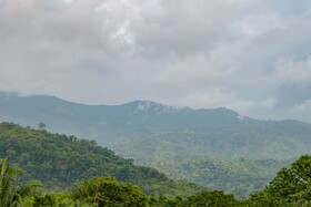 Cabaña Mirador del Bosque Tayrona