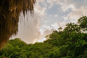 Cabaña Mirador del Bosque Tayrona