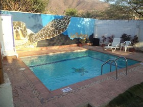 La Tortuga Hostel