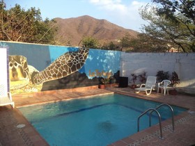 La Tortuga Hostel