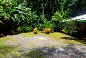 Casa Cerise