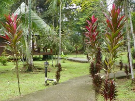 El Pizote Lodge