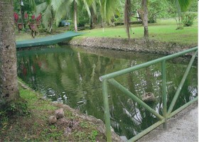 El Pizote Lodge