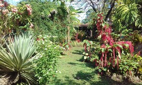 Hotel Escape Caribeno