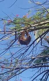 Hotel Escape Caribeno