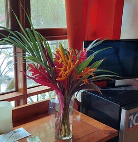 Hotel Escape Caribeno