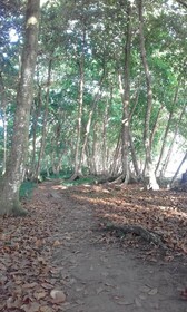 Hotel Escape Caribeno