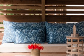 Sonora Jungle & Yoga Retreat