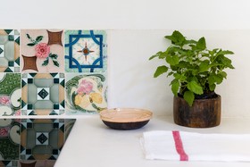 Sonora Jungle & Yoga Retreat