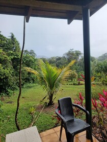 Hotel La Rana de Arenal