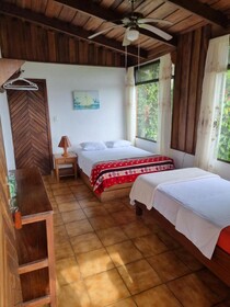 Hotel La Rana de Arenal