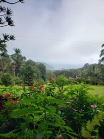 Hotel La Rana de Arenal