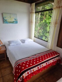 Hotel La Rana de Arenal