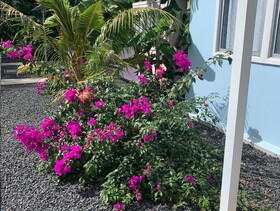 Pura Vida Private Villa