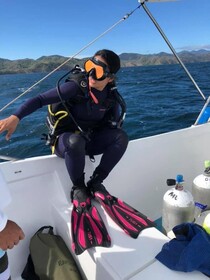 Pura Vida Private Villa