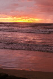 Casa Woodbine Beachfront House