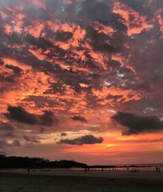 Casa Woodbine Beachfront House