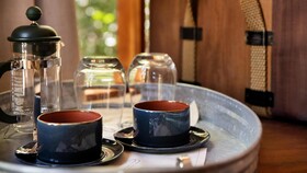 Kasiiya Papagayo