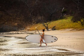 Kasiiya Papagayo
